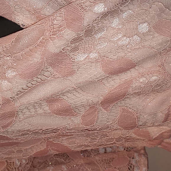 Blush Pink Lace Dress - Picture 9 of 12